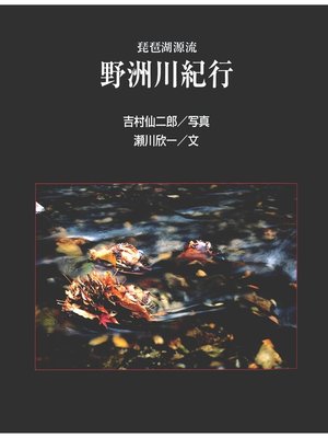 cover image of 野洲川紀行